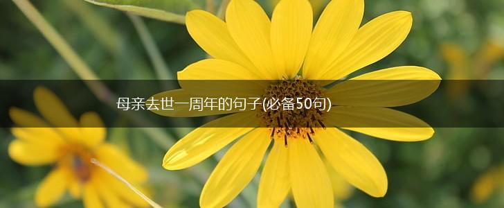 母亲去世一周年的句子(必备50句),第1张