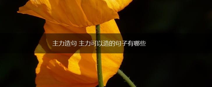 主力造句 主力可以造的句子有哪些,第1张
