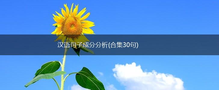 汉语句子成分分析(合集30句),第1张