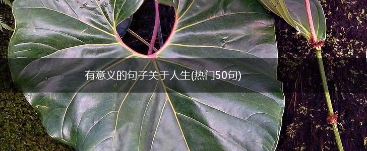 有意义的句子关于人生(热门50句),第1张