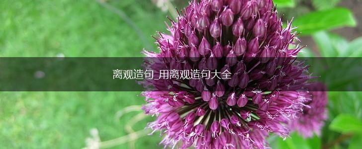 离观造句_用离观造句大全,第1张