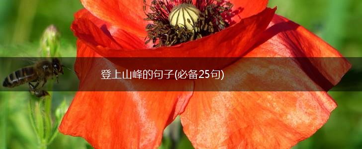 登上山峰的句子(必备25句),第1张