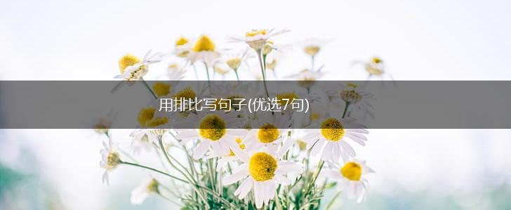 用排比写句子(优选7句),第1张