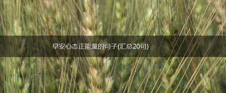 早安心态正能量的句子(汇总20句),第1张