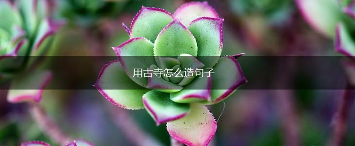 用古寺怎么造句子,第1张