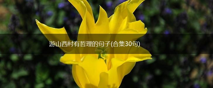 游山西村有哲理的句子(合集30句),第1张