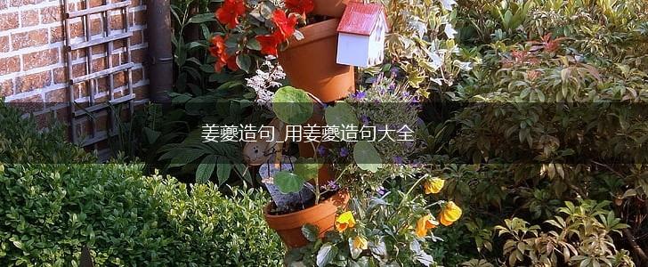 姜夔造句_用姜夔造句大全,第1张