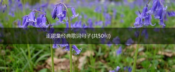 正能量经典歌词句子(共50句),第1张