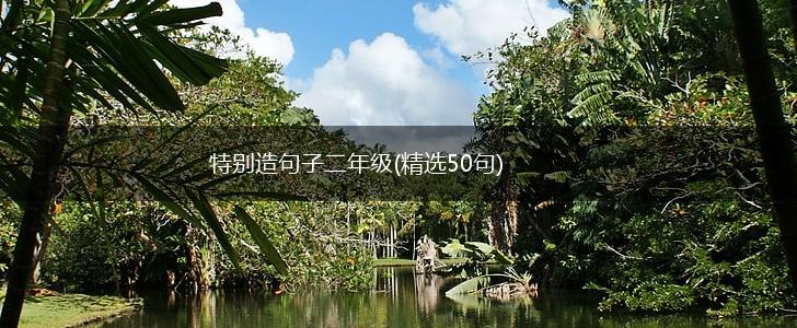 特别造句子二年级(精选50句),第1张