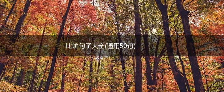 比喻句子大全(通用50句),第1张