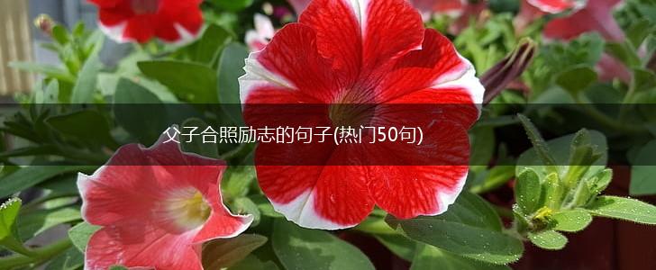 父子合照励志的句子(热门50句),第1张