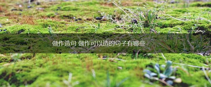 做作造句 做作可以造的句子有哪些,第1张