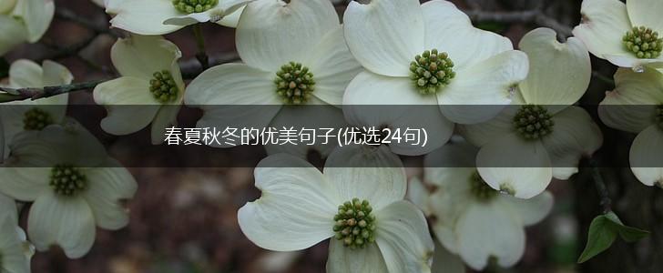 春夏秋冬的优美句子(优选24句),第1张