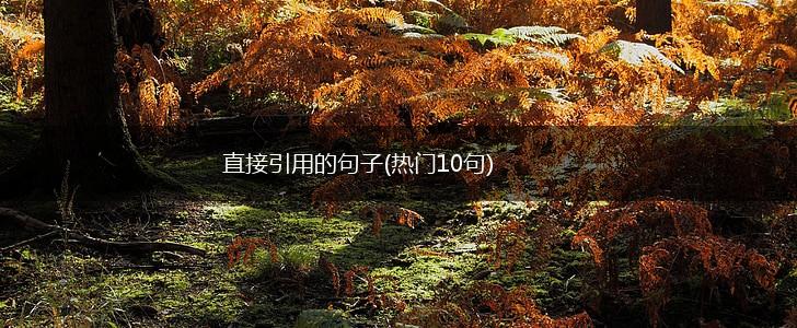 直接引用的句子(热门10句),第1张