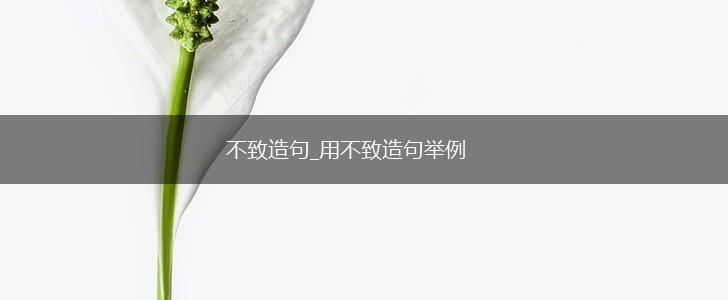 不致造句_用不致造句举例,第1张
