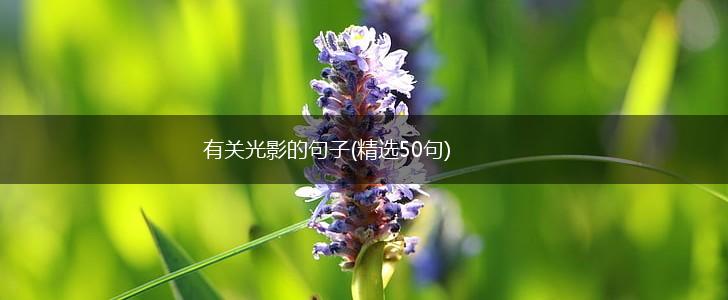 有关光影的句子(精选50句),第1张