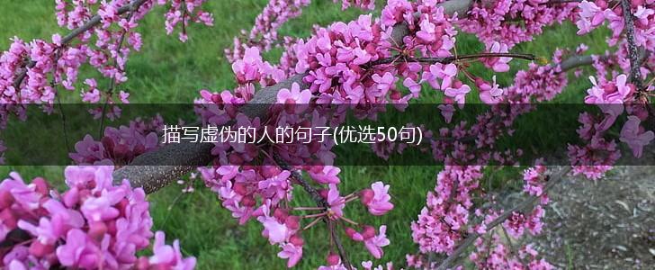 描写虚伪的人的句子(优选50句),第1张