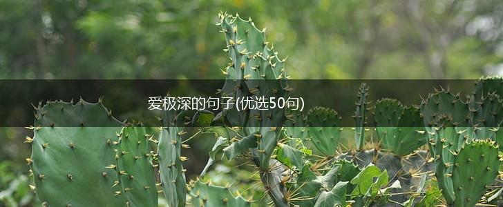 爱极深的句子(优选50句),第1张
