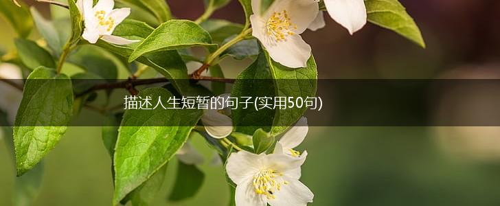 描述人生短暂的句子(实用50句),第1张