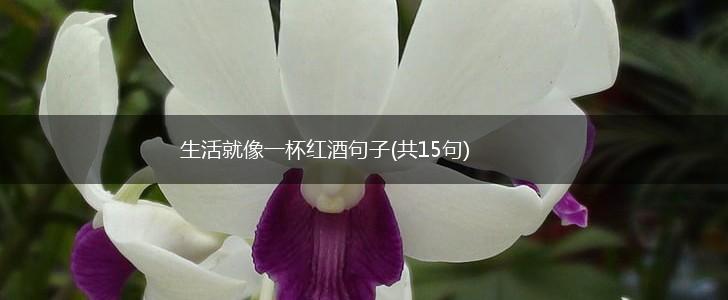 生活就像一杯红酒句子(共15句),第1张