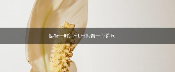 振臂一呼造句,用振臂一呼造句,第1张