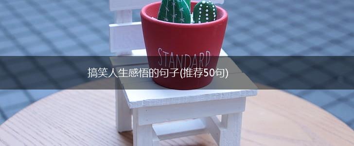 搞笑人生感悟的句子(推荐50句),第1张