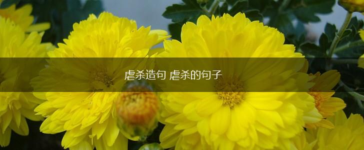虐杀造句 虐杀的句子,第1张
