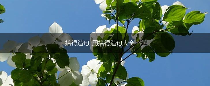 拾得造句_用拾得造句大全,第1张