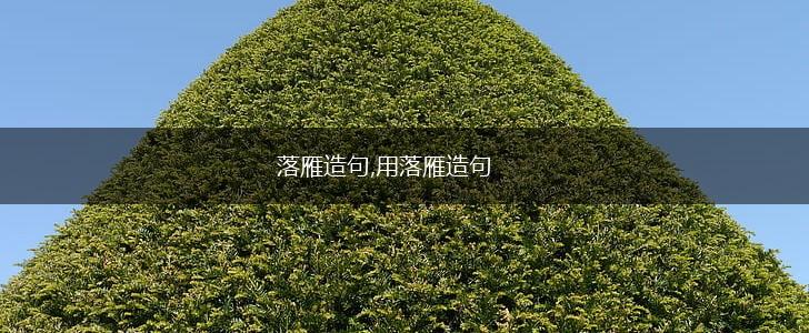落雁造句,用落雁造句,第1张