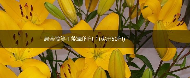 晨会搞笑正能量的句子(实用50句),第1张