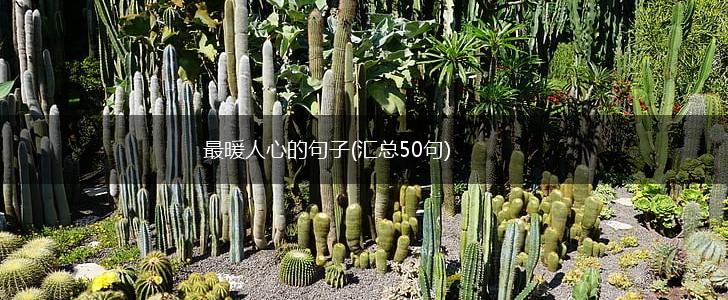 最暖人心的句子(汇总50句),第1张