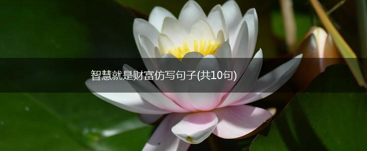 智慧就是财富仿写句子(共10句),第1张