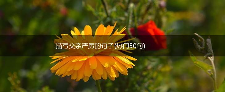 描写父亲严厉的句子(热门50句),第1张