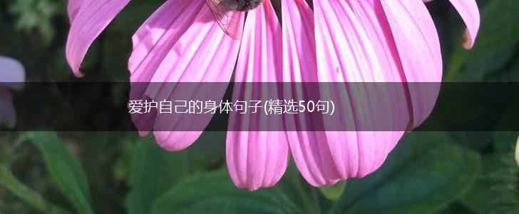 爱护自己的身体句子(精选50句),第1张