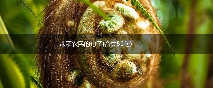 歌颂农民的句子(合集50句),第1张
