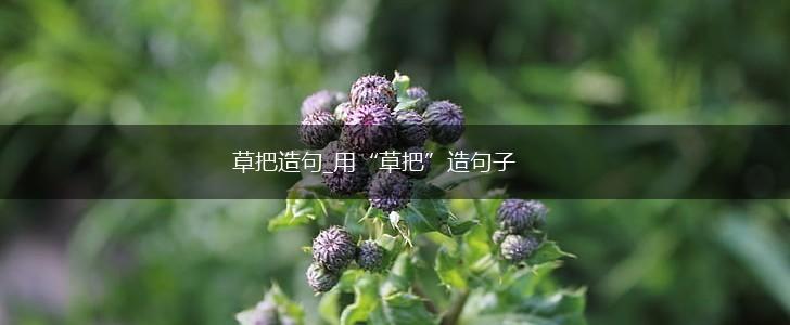 草把造句_用“草把”造句子,第1张