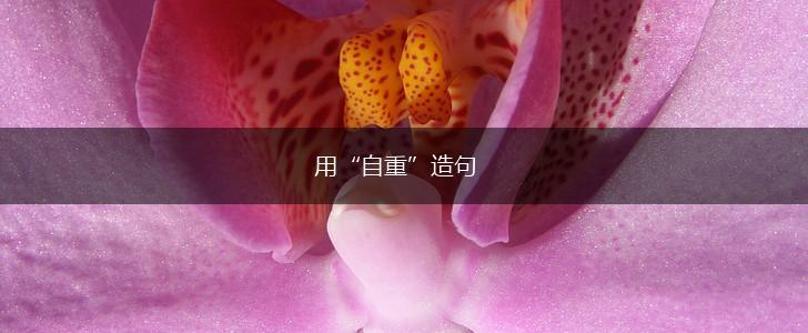 用“自重”造句,第1张