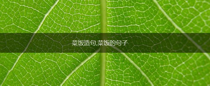 菜饭造句,菜饭的句子,第1张