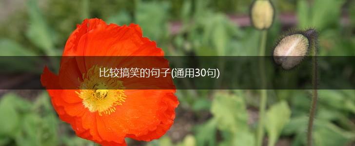 比较搞笑的句子(通用30句),第1张