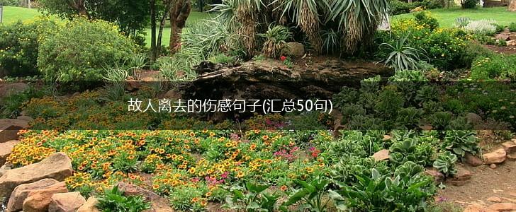 故人离去的伤感句子(汇总50句),第1张