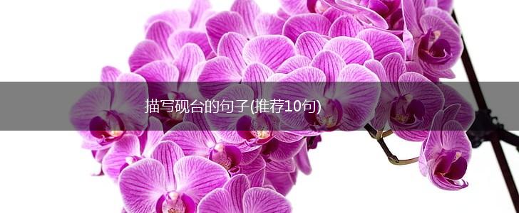 描写砚台的句子(推荐10句),第1张