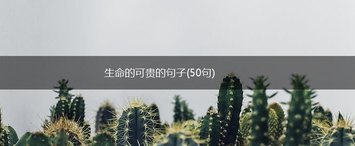 生命的可贵的句子(50句),第1张