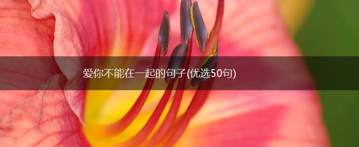爱你不能在一起的句子(优选50句),第1张