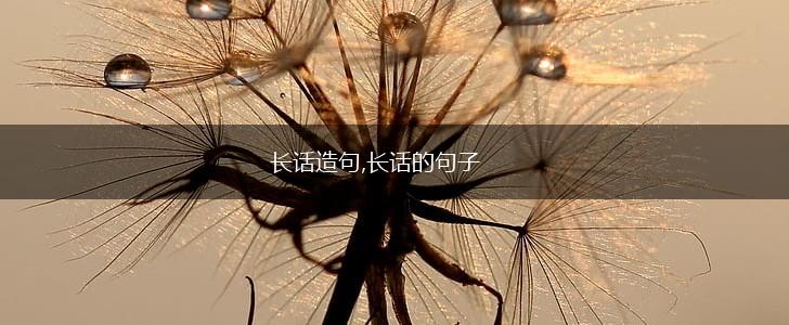 长话造句,长话的句子,第1张