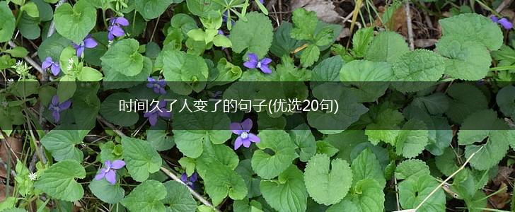 时间久了人变了的句子(优选20句),第1张