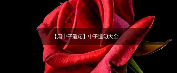【用中子造句】中子造句大全,第1张