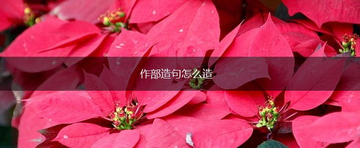 作部造句怎么造,第1张
