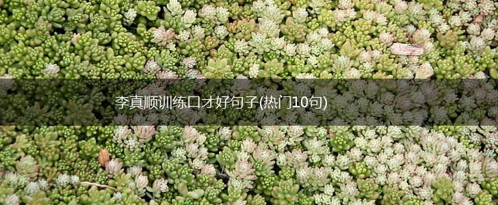 李真顺训练口才好句子(热门10句),第1张