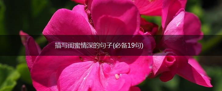 描写闺蜜情深的句子(必备19句),第1张
