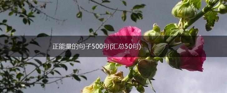 正能量的句子500句(汇总50句),第1张